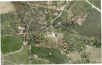 The National Airsoft Festival About Us