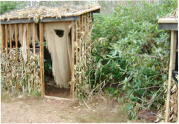 About the National Airsoft Festival